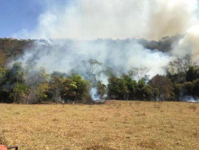 Primeiros dias de setembro t&ecirc;m um inc&ecirc;ndio florestal a cada hora em MS