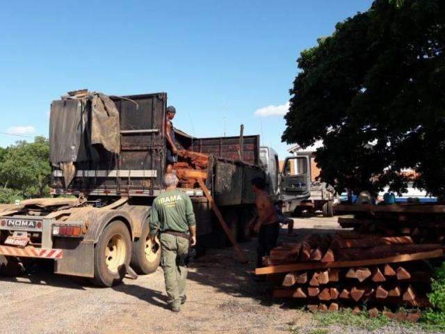 Ibama apreende madeira extra&iacute;da ilegalmente de reserva ind&iacute;gena 