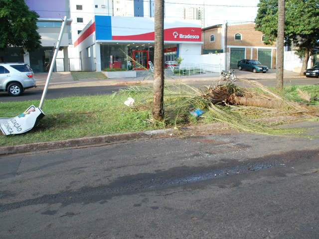 Estudante que dirigia carro em acidente com morte admite que bebeu vodka