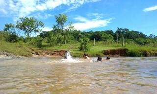 Crianças brincam no rio em Ribas do Rio Pardo (Foto: Fabricia Luz)