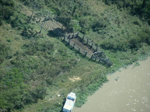  Pol&iacute;cia come&ccedil;a desmanchar quadrilha de furto e roubo de gado no Pantanal 