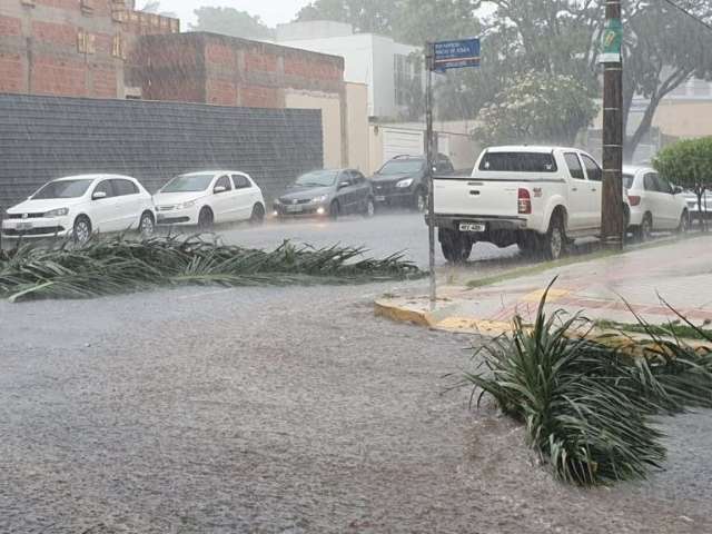 V&iacute;deos e fotos de leitores mostram for&ccedil;a do vento durante temporal 