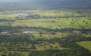 A meta voluntária a ser alcançada pelo Brasil em 2020 era de uma redução de emissões de 564 milhões de toneladas de dióxido de carbono na Amazônia e de 104 milhões de toneladas no Cerrado. (Foto: Arquivo) 