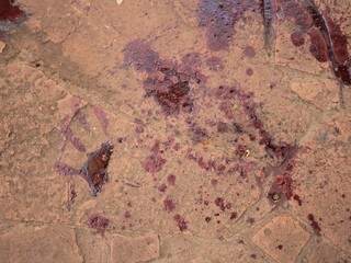 Marcas de sangue em calçada da Avenida Bandeirantes, onde corpo foi encontrado (Foto: Marina Pacheco)