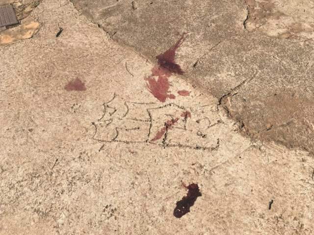 Dez dias ap&oacute;s acidente, mulher morta atropelada ainda n&atilde;o foi identificada