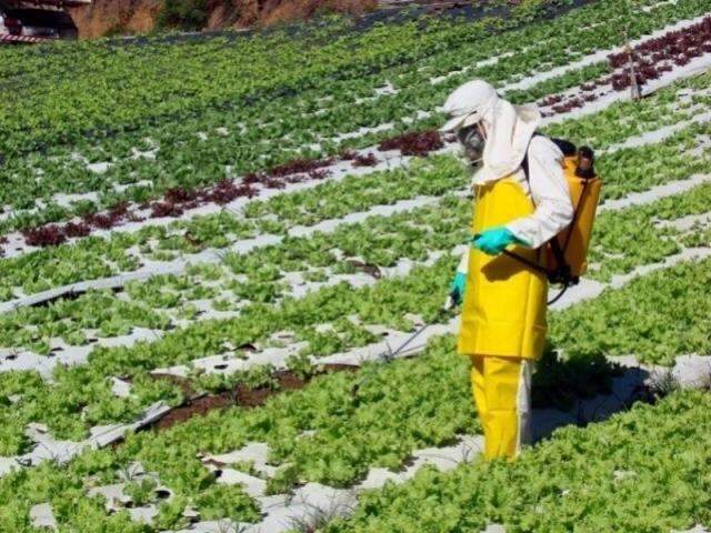 Minist&eacute;rio da Agricultura autoriza mais 63 agrot&oacute;xicos, 19 altamente t&oacute;xicos