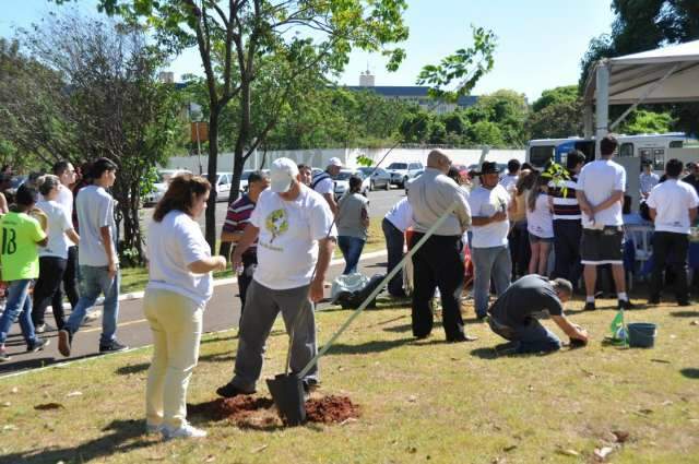 Em comemora&ccedil;&atilde;o ao Dia da &Aacute;rvore, 200 mudas s&atilde;o plantadas na Capital