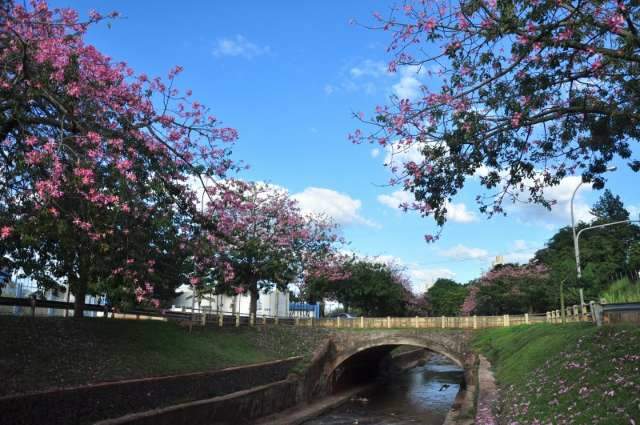 S&aacute;bado ser&aacute; de temperaturas amenas e chuva em algumas regi&otilde;es do Estado