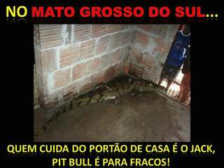 Polêmica na internet: Mato Grosso do Sul é assim?