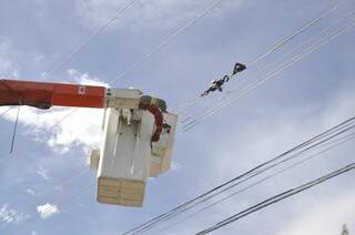 Energisa retirando galhos da fiação elétrica (Foto: Marcelo Calazans)