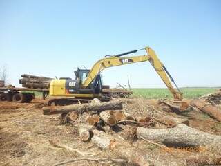 Máquinas eram utilizadas para derrubar árvores e carregá-las. (Foto:Ibama)