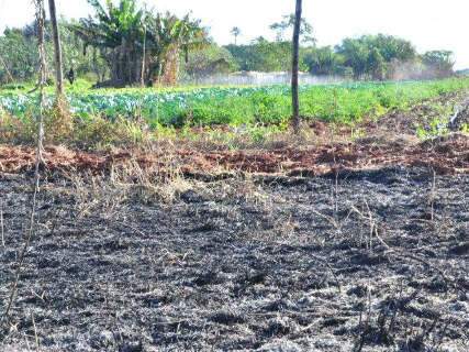  Incêndio queima seis hectares de área verde ao lado de horta
