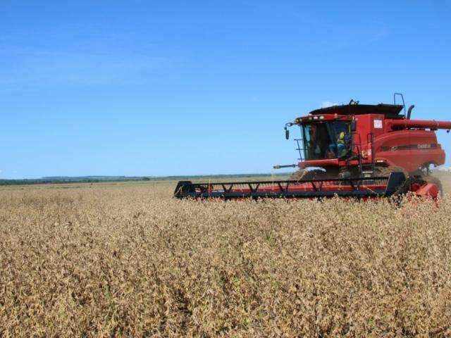 Mais avan&ccedil;ada na regi&atilde;o central, colheita de soja chega a 20% em MS