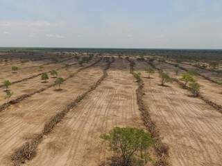 Fazenda está localizada a 70 quilômetros de Coxim (Foto: Divulgação/ PMA)