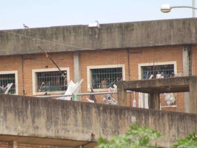 Pelas c&acirc;meras, agente penitenci&aacute;rio flagra tentativa de fuga na M&aacute;xima