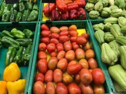 Tomate, batata e feijão ajudam a derrubar preço da cesta básica 