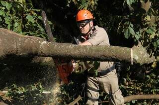 Bombeiros usam motosserra para cortar troncos (Foto: Marcos Ermínio)