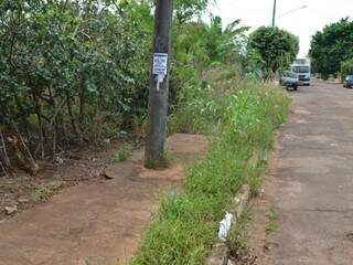 N&uacute;mero de notifica&ccedil;&otilde;es triplica, mas n&atilde;o falta mau exemplo em cal&ccedil;adas