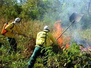 Brigadistas combatem incêndio na área rural de Corumbá. (Foto: divulgação/Prevfogo, divulgada pelo Diário Corumbaense) 
