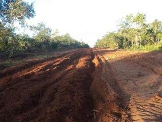 Desmatamento aconteceu em área de reserva e totalizou 2 hectares (Foto: Divulgação/PMA)