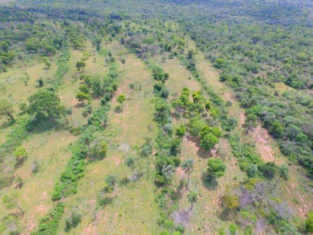 Fazendeiro &eacute; multado em R$ 17 mil por desmatar &aacute;rea de vegeta&ccedil;&atilde;o nativa