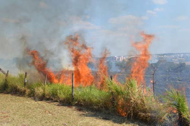 Inc&ecirc;ndio destroi vegeta&ccedil;&atilde;o de terreno de 10 hectares na Capital