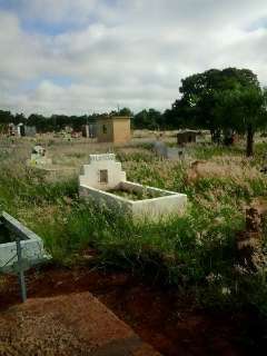 Assustado com mato alto, leitor limpa túmulos em visita ao cemitério Santo Amaro