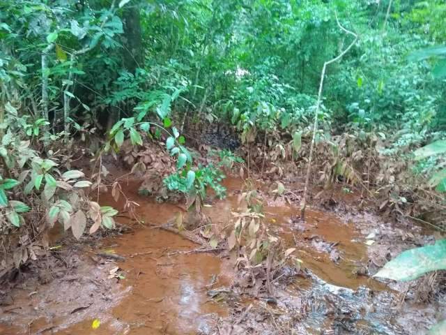 &Aacute;gua barrenta que atingiu Rio da Prata saiu de fazenda que cultiva soja