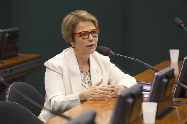 Tereza Cristina peita partido e mant&eacute;m advers&aacute;rios de Temer em comiss&atilde;o