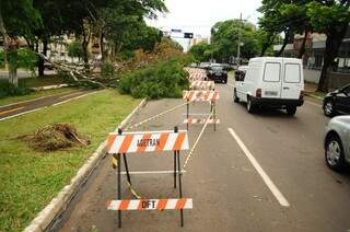 Vendaval desta quinta chegou a 90 km/h em regiões da Capital Vendaval desta quinta chegou a 90 km/h em regiões da Capital