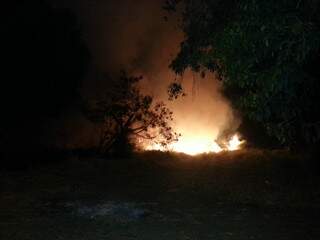 De acordo com internauta, fogo começou no terreno da Base Aérea até se alastrar (Foto: Repórter News)