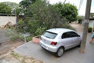 Árvore obstrui a pista e impede a entrada em garagem (Foto:Fernando Antunes)