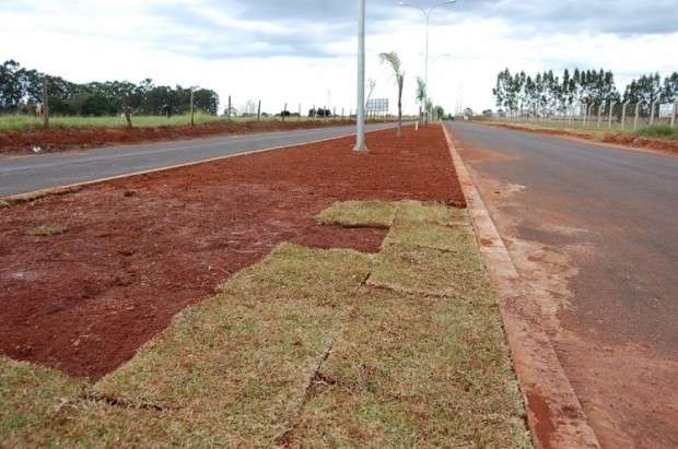 Ladr&otilde;es furtam grama de canteiro no munic&iacute;pio de Nova Andradina