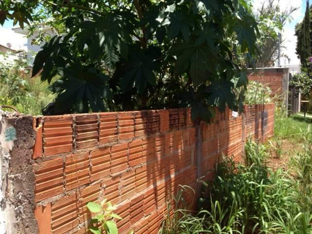 Rodeada por terrenos baldios, moradora j&aacute; encontrou at&eacute; cobra em casa