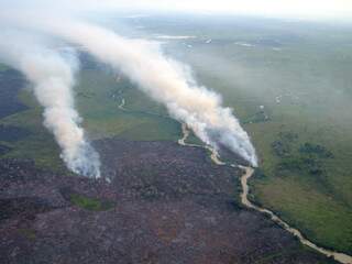 De acordo com o INPE, Corumbá registrou até quinta-feira 1.191 focos de incêndio em agosto (Foto: Ibama)