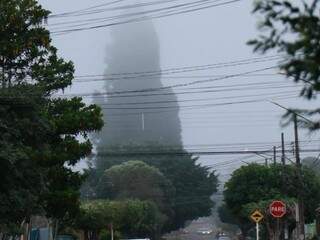 Copa da árvore ficou escondida pela neblina na Vila Piratininga em Campo Grande (Foto: Henrique Kawaminami)