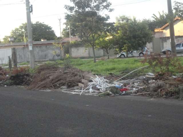 Moradores denunciam novo lix&atilde;o em frente ao aeroporto da Capital