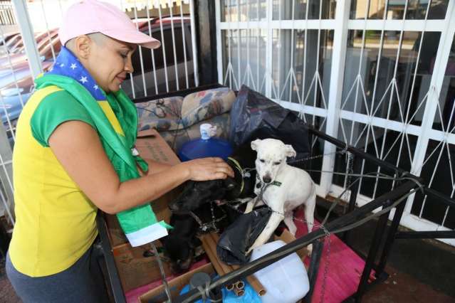 Com tr&ecirc;s c&atilde;es, mulher vai a p&eacute; at&eacute; Bras&iacute;lia para pedir sa&uacute;de de qualidade