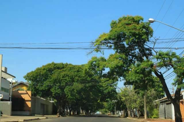 Onda de calor e tempo seco continuam durante feriado prolongado
