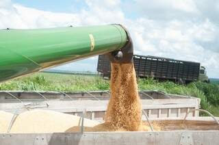 Total de soja colhido já passa dos 97% no Estado. (Foto: Rodrigo Pazinato)