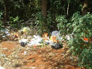 Lixo foi jogado na rua Francisco Pereira Lima, no Jardim Mansur, ao lado de córrego. (Foto: Alex Almeida Leite)