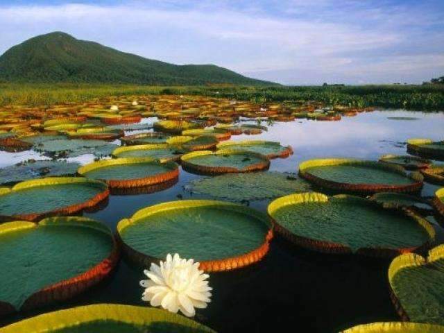 Mato Grosso do Sul recebeu 14% a mais de turistas estrangeiros em 2018