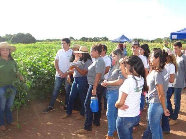 Uems abre sele&ccedil;&atilde;o para professores tempor&aacute;rios com sal&aacute;rios de at&eacute; R$ 8,6 mil 