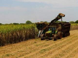 Máquina faz a colheita em lavoura no interior de Mato Grosso do Sul (Foto: Biosul/Divulgação)