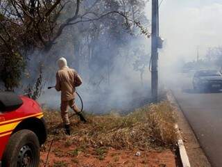 Militar combatendo chamas e fumaça invadindo avenida (Foto: Geisy Garnes)