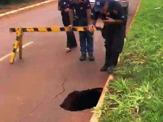 Asfalto desmorona e abre buraco em avenida que liga duas cidades de MS
