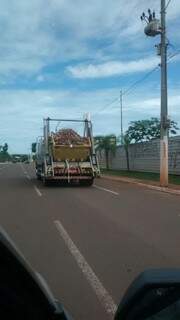 O caminhão seguia pela Avenida Interlagos sem cobertura sobre a caçamba.(Foto:Direto das Ruas)