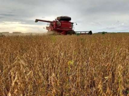 Siga-MS aponta que mais de 90% das lavouras de soja já foram colhidas