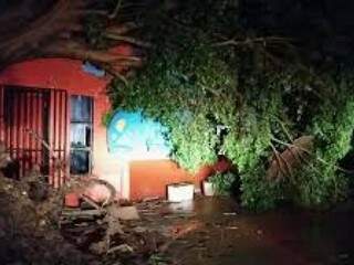 Uma família ficou isolada em casa até a chegada dos militares, depois que uma árvore caiu no muro da casa e atingiu o portão.(Foto: JP News) 