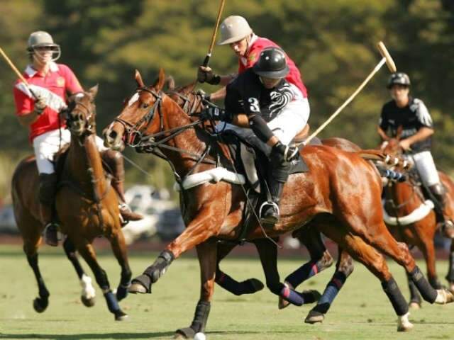  Torneio de polo equestre ser&aacute; disputado neste fim de semana na Capital
